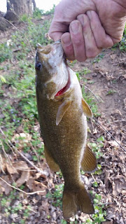 antietam creek smallmouth