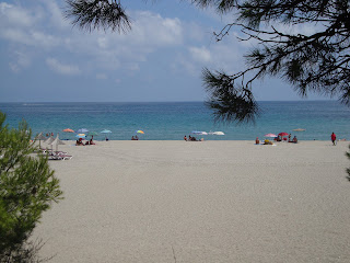 La Pineda Beach behind trees photo - Tarragona