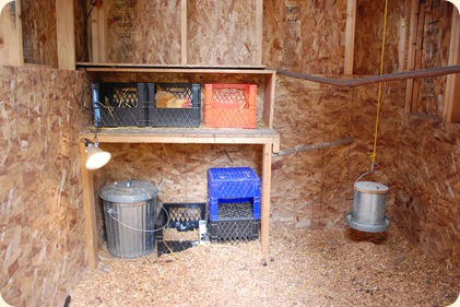 chicken coop tour numero uno