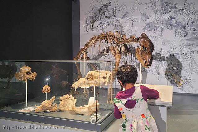 Espace Museal d'Andenne | Things to do in Andenne with Kids | Museumpassmusees