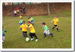 FB-JDSC-17