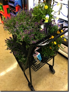 Shopping: gardener's edition