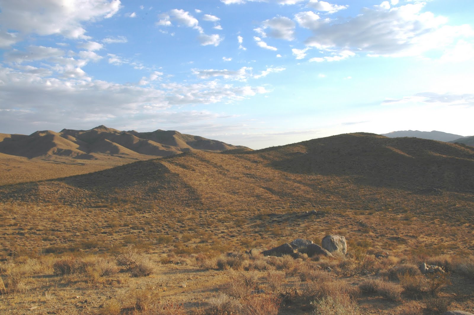 Mojave Desert Diary...