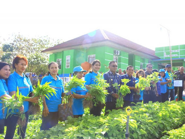 Dinas Ketahanan Pangan MTB Buat Kebun Percontohan di Halaman Kantor