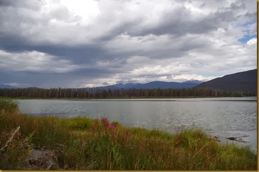 IMGP0003