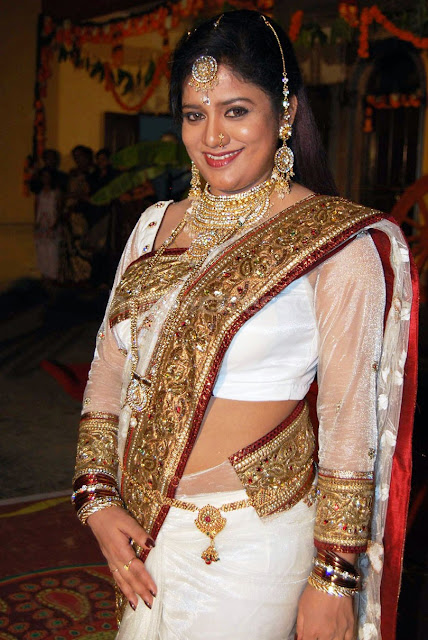 Kannada Actress Priya Hassan Saree Stills