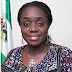 “VAIDS IS AIMED AT CORRECTING NIGERIA’S POOR TAX TO GDP RATIO” – Finance Minister  