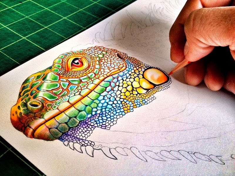 Simply Creative: Colorful Drawings of Reptiles by Tim Jeffs