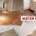 True facts which can control Water Damage Naples