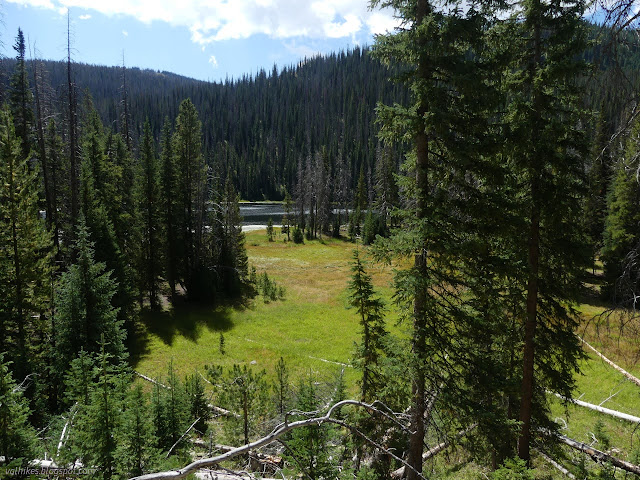 092: grassy flats, clumps of big trees, and a lake