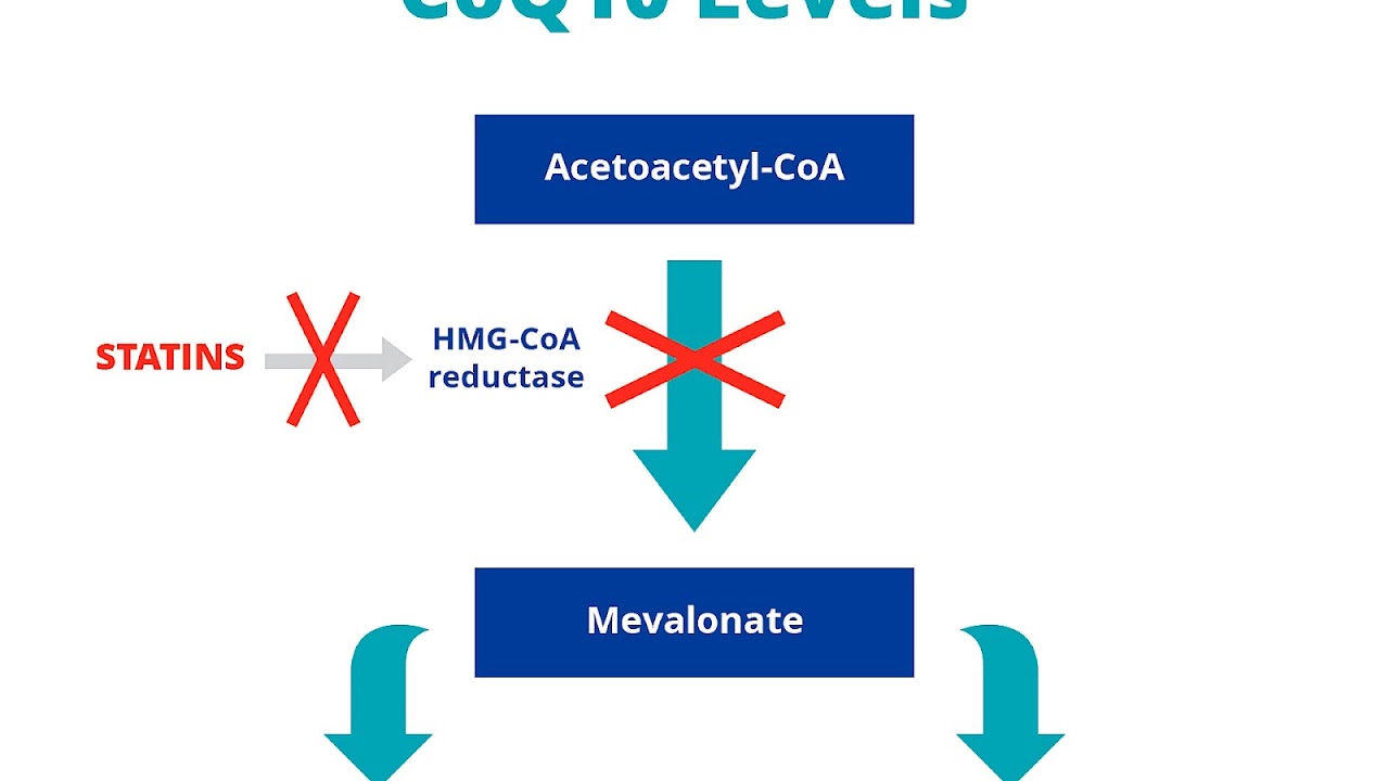 Side Effects From Cholesterol Medicine