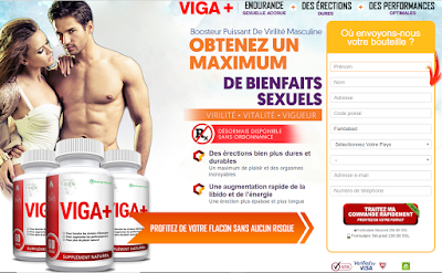 Viga Plus France