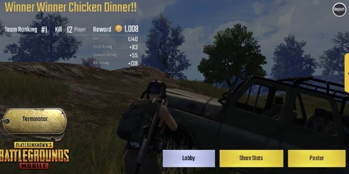 How to increase KD in PUBG by winning
