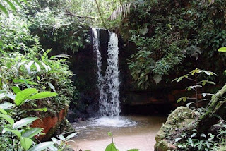 Parque Nacional da Serra do Divisor