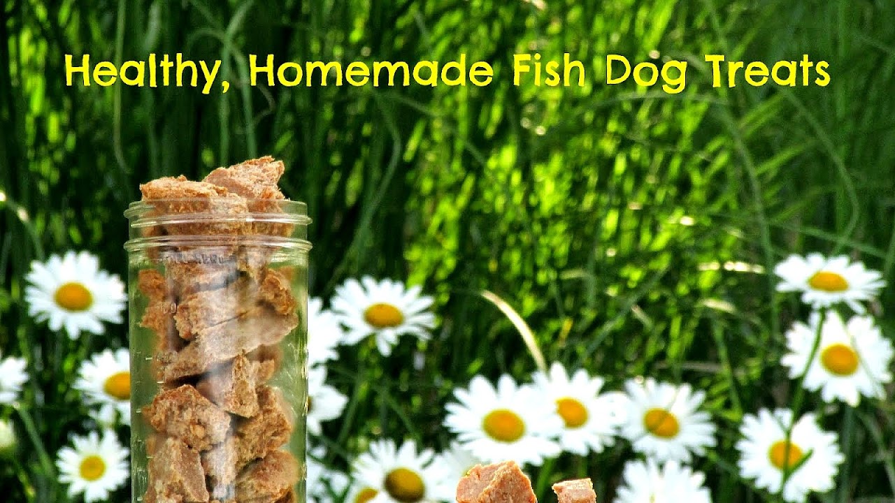 Fish Treats For Dogs