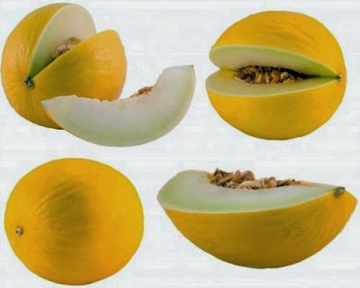 Manfaat Melon Untuk Kesehatan