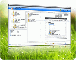 WinUlities Undelete 3.1 Free Download