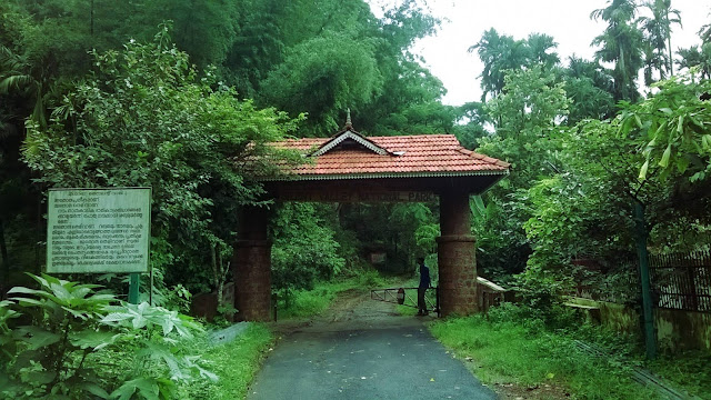 Silent Valley National Park