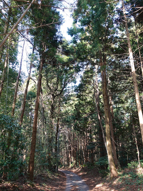 孝霊山　電波塔の山の管理用道路を降りる