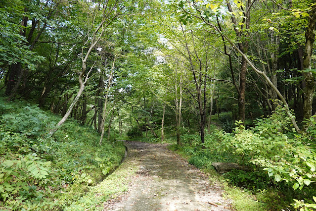 鳥取県西伯郡南部町鶴田　とっとり花回廊　ふるさとの古径