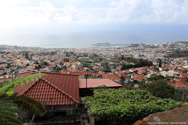 ESTRADA DOS MARMELEIROS - FUNCHAL