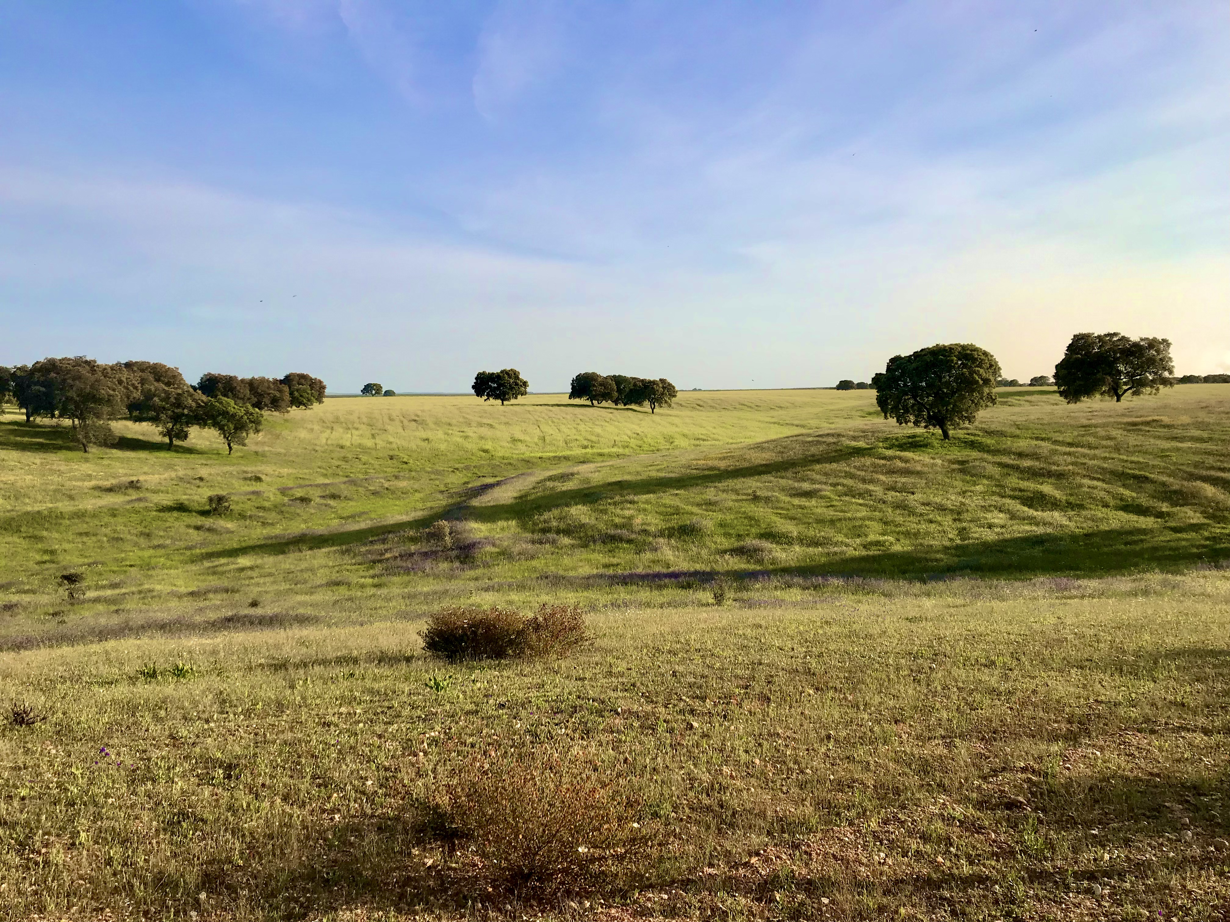 Alentejo, Primavera, Portugal