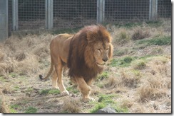 IMG_5893 IMG_5893