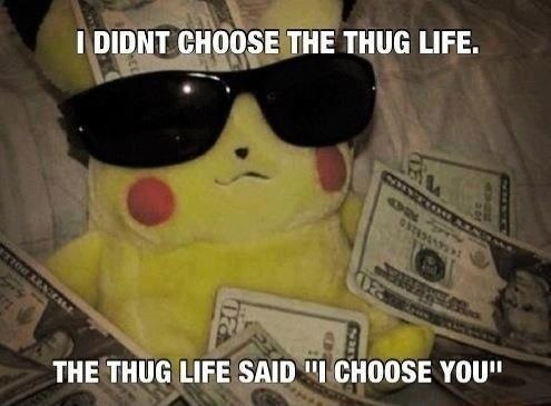 didnt choose the thug life