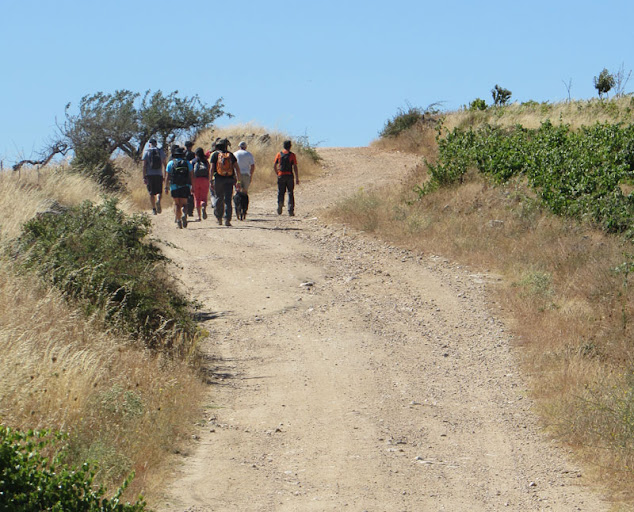 pessoas caminhando numa trilha