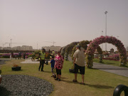 2013 Miracle Garden, Dubai (wp )