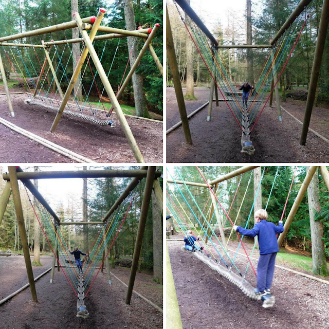 Wild Play at Whinlatter Forest in The Lake District - near to Keswick in Cumria.