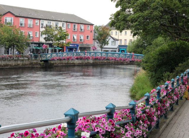 Flowers in Sligo Town