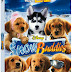 PRESS RELEASE: SNOW BUDDIES on DVD Feburary 5th, 2008