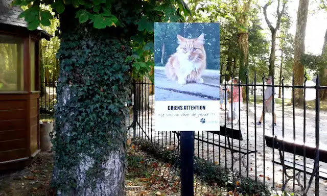 cartel del gato Noisette a la entrada de Chenonceau