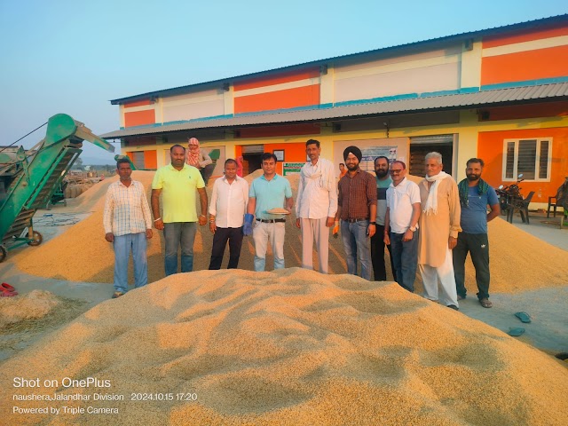 जिला कांगड़ा अब तक 1087 मैट्रिक टन हुई खरीद