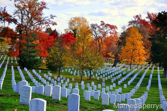 DC2010_623