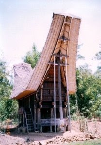 tongkonan - rumah adat orang toraja