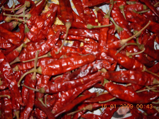 Indian Red Chilies