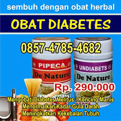 http://obatdiabetmelitus.blogspot.com/