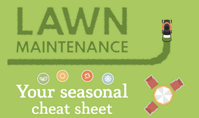 Lawn maintenance: your seasonal cheat sheet