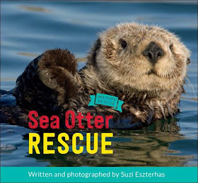 https://www.amazon.com/Sea-Otter-Rescue-Wildlife/dp/1771471751/ref=sr_1_1?ie=UTF8&qid=1475113831&sr=8-1&keywords=sea+otter+rescue+by+suzi+eszterhas