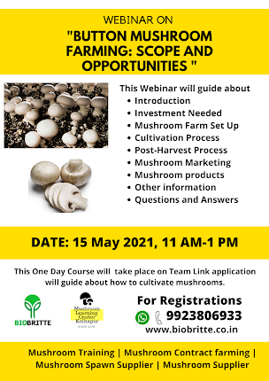 Button Mushroom FARMING: SCOPE AND OPPORTUNITIES