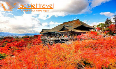 Du lịch Nhật Bản - Mùa lá đỏ Momiji