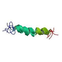 Pancreas Glucagon