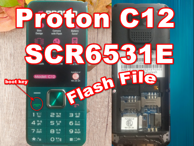 Proton C12 Flash File  SCR6531E