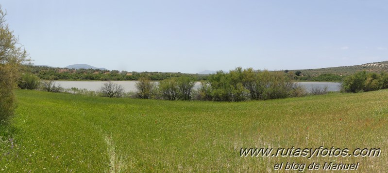 Laguna de Fuente de Piedra y Lagunas de Campillos