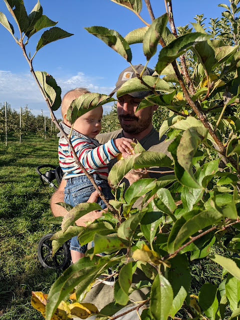 Bishops Orchards