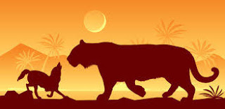 A Wise Deer and A Cowardly Tiger ~ Short Stories