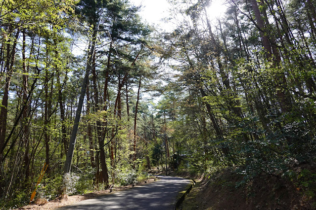 鳥取県西伯郡伯耆町丸山 ロイヤルシティ大山