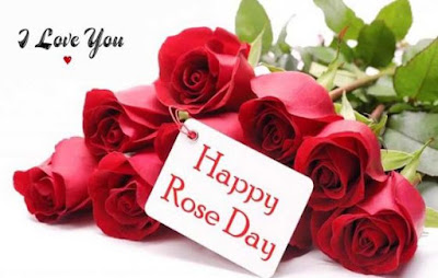 Rose Day 2018 Special: Types of Roses and Their Meanings